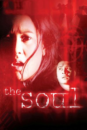 The Soul's poster