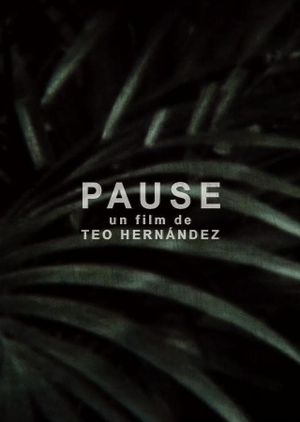 Pause's poster