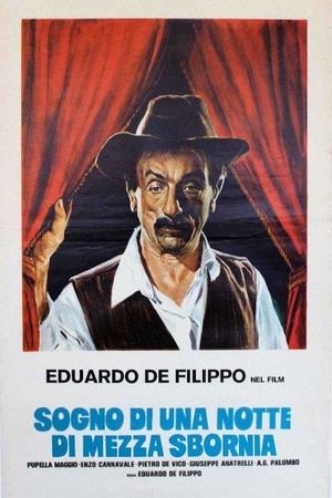 Sogno di una notte di mezza sbornia's poster