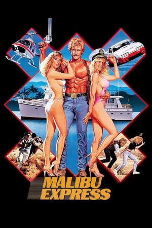 Malibu Express's poster