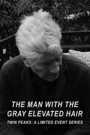 The Man with the Gray Elevated Hair's poster