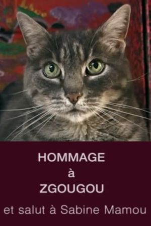 Tribute to Zgougou the Cat's poster