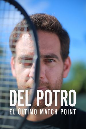 Del Potro, el último match point's poster