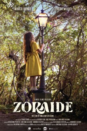Zoraide's poster image