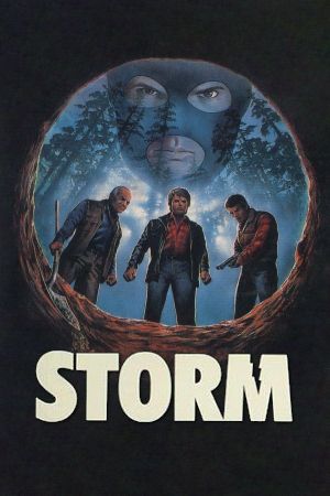 Storm's poster