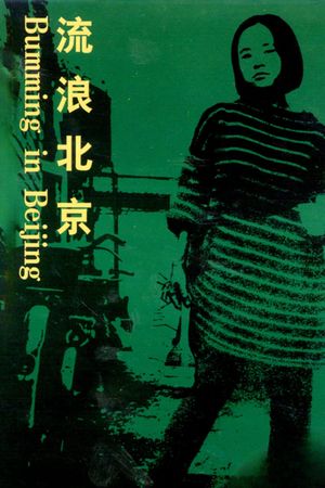 Bumming in Beijing: The Last Dreamers's poster