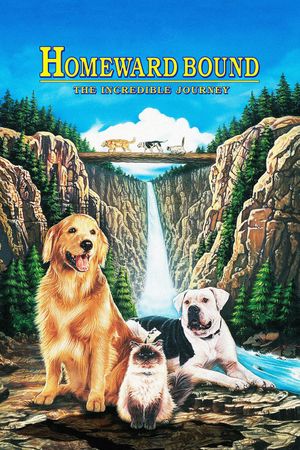 Homeward Bound: The Incredible Journey's poster