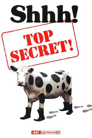 Top Secret!'s poster