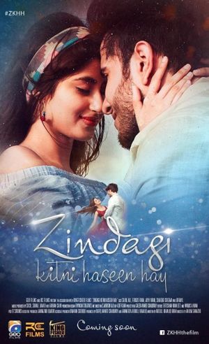 Zindagi Kitni Haseen Hay's poster