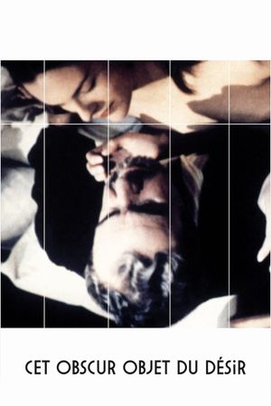 That Obscure Object of Desire's poster