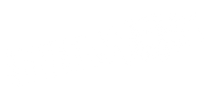 Sneekweek's poster