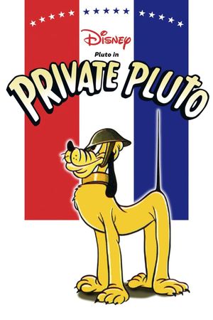 Private Pluto's poster