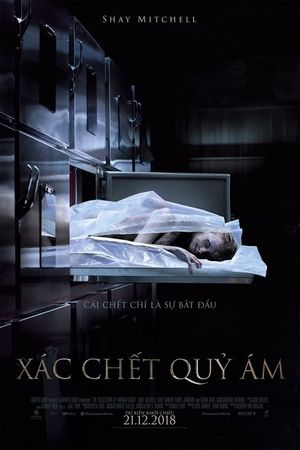 The Possession of Hannah Grace's poster