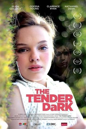 The Tender Dark's poster