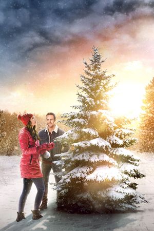 The Christmas Promise's poster