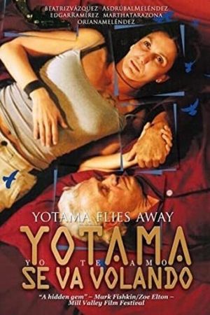 Yotama se va volando's poster