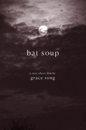 Bat Soup's poster