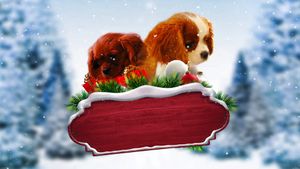 Project: Puppies for Christmas's poster