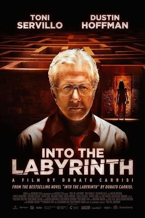 Into the Labyrinth's poster