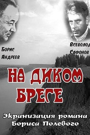 Na dikom brege's poster
