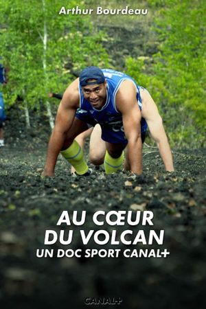 Au cœur du volcan's poster