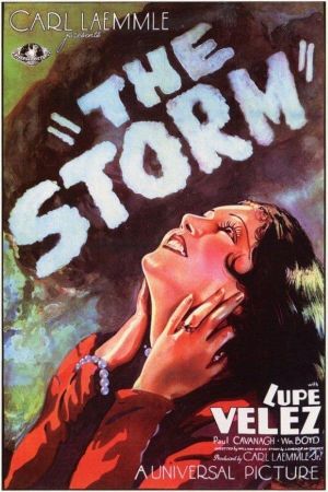 The Storm's poster