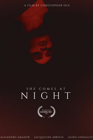 SHE COMES AT NIGHT's poster