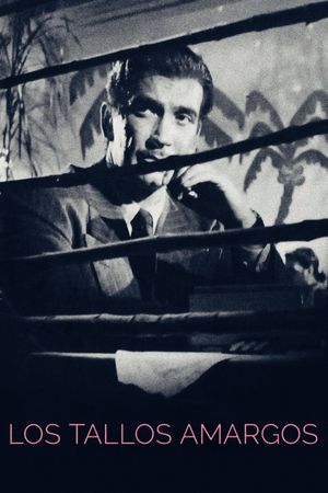 The Bitter Stems's poster