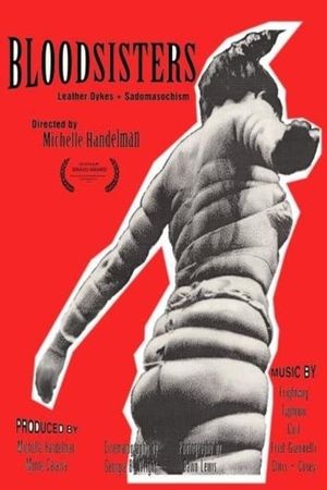 BloodSisters: Leather, Dykes and Sadomasochism's poster