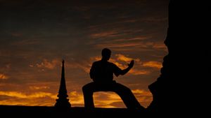 Kickboxer's poster