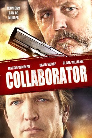 Collaborator's poster