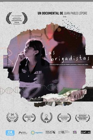 Las Brigadistas's poster