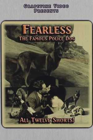 Detective K-9's poster