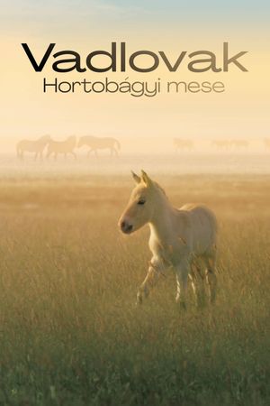 Wild Horses: A Tale from the Puszta's poster