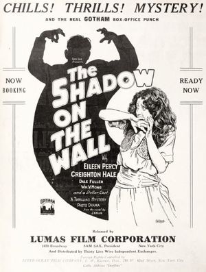 The Shadow on the Wall's poster