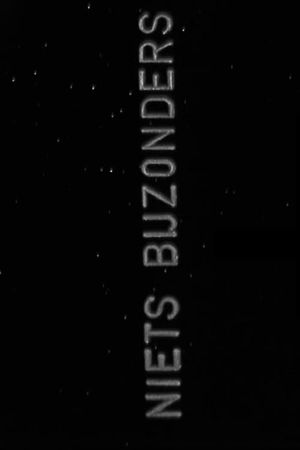 Nothing Special's poster