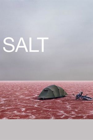 Salt's poster