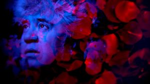 Almodóvar, todo sobre ellas's poster