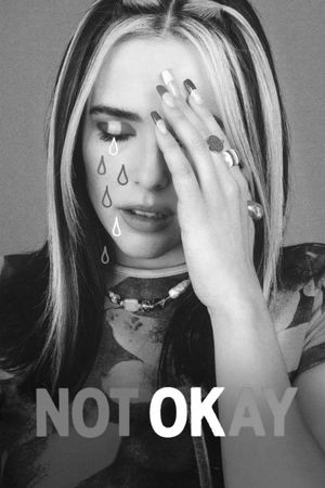 Not Okay's poster