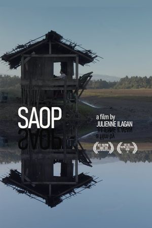 Saop's poster image