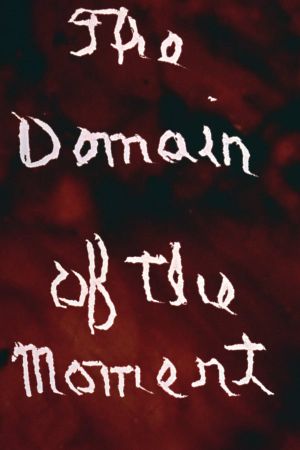 The Domain of the Moment's poster
