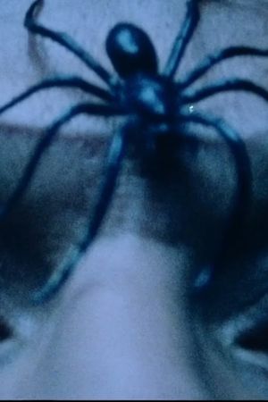 À quoi rêve l'araignée?'s poster