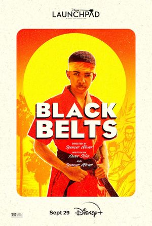 Black Belts's poster