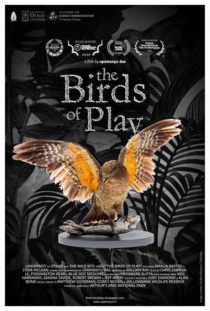 The Birds of Play's poster