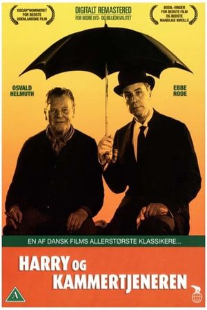 Harry and the Butler's poster