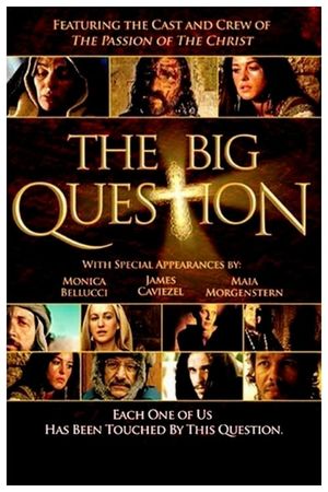 The Big Question's poster image