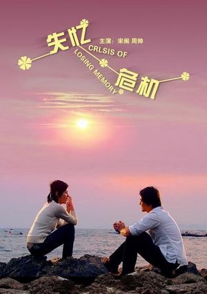 失忆危机's poster
