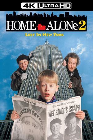 Home Alone 2: Lost in New York's poster