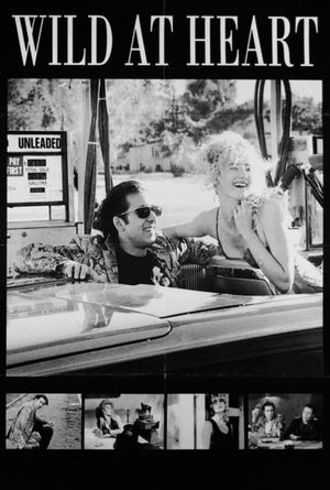 Wild at Heart's poster