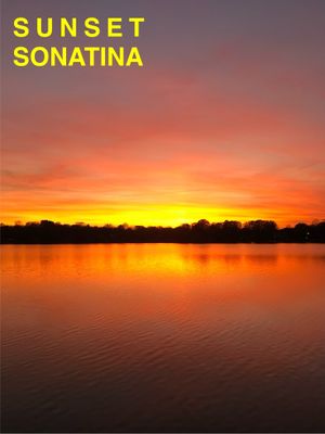 Sunset Sonatina's poster